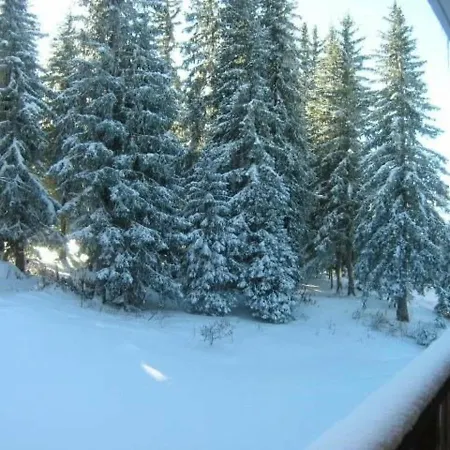 Apartment Lumineux A Meribel, Proche Des Pistes, Balcon, Tv, Lave-vaisselle, Accepte Les Animaux - Fr-1-180-129 Meribel